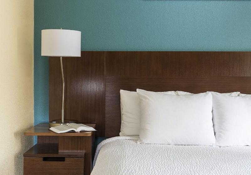 带大床的标准间, Fairfield Inn & Suites Grand Rapids