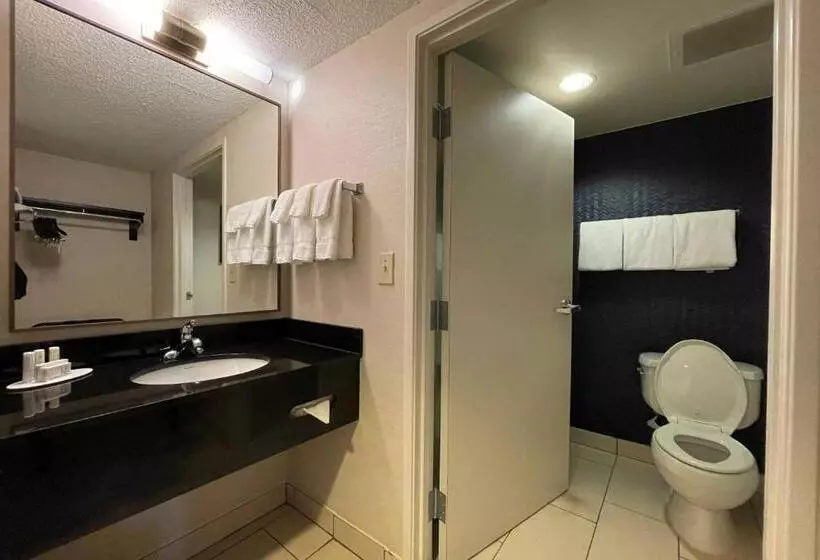 スタンダードルーム, Fairfield Inn & Suites Jackson Airport