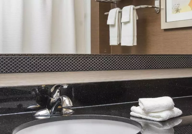 اتاق استاندارد با تخت بزرگ, Fairfield Inn & Suites Oshkosh