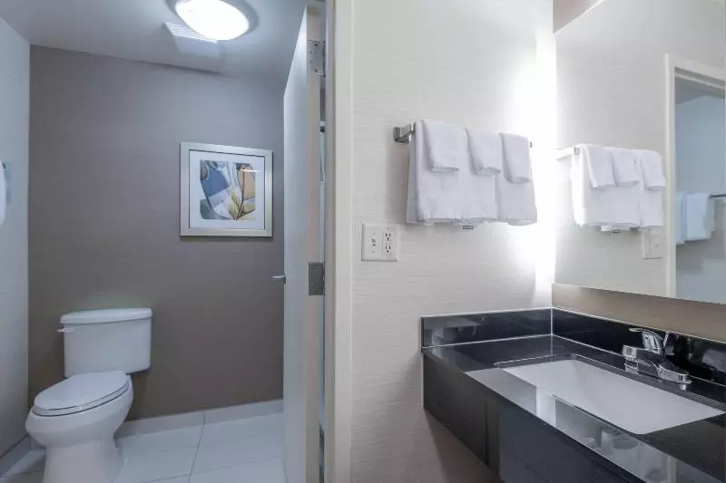 キングサイズベッドのスタンダードルーム, Fairfield Inn & Suites Savannah I95 South