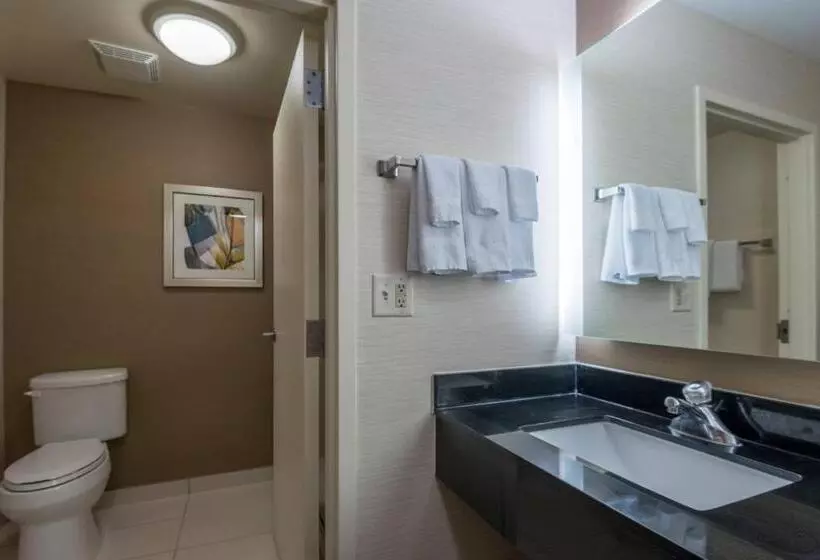 キングサイズベッドのスタンダードルーム, Fairfield Inn & Suites Savannah I95 South