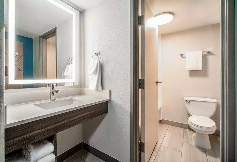 スタンダードルーム, Holiday Inn Express & Suites Phoenix   Mesa West, An Ihg