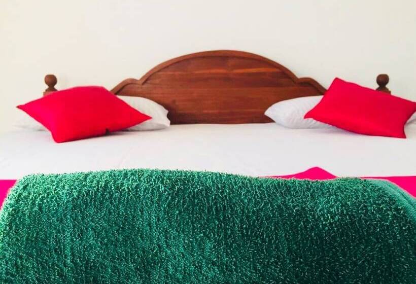 베이직 룸 더블 침대, Hot Tuna Surfers Rest Midigama