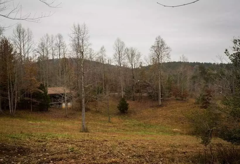 ２ダブルベッドのスタンダードルーム, Forrest Hills Mountain Resort