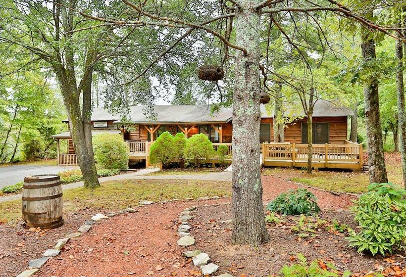 Номер Стандарт 2 Двуспальные Кровати, Forrest Hills Mountain Resort