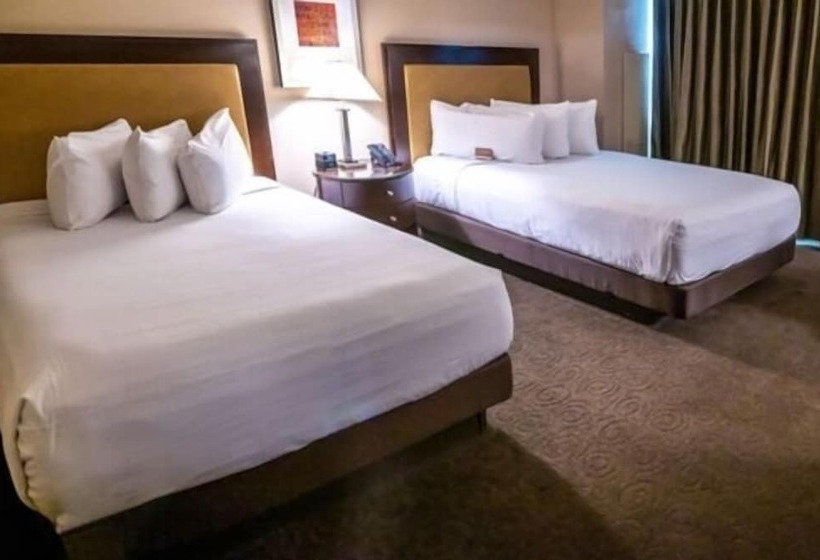 חדר דלוקס, Gold Strike Casino Resort