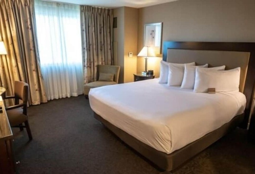 חדר דלוקס, Gold Strike Casino Resort