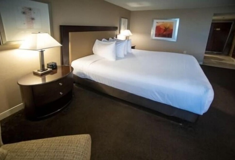 Номер Deluxe, Gold Strike Casino Resort