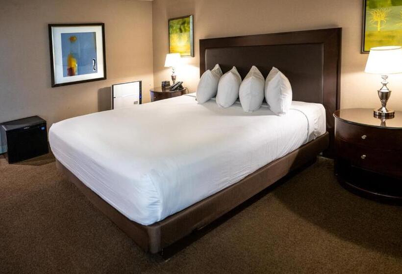 غرفة قياسية فردية, Gold Strike Casino Resort