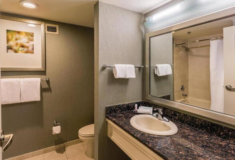 חדר סטנדרט יחיד, Gold Strike Casino Resort