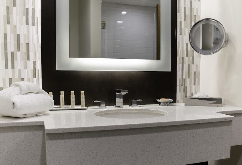 חדר דחוקס עם מיטת קינג, Grand Traverse Resort And Spa