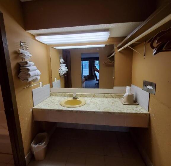 스탠다드 룸 킹사이즈 침대, Gray Plaza Motel West Frankfort
