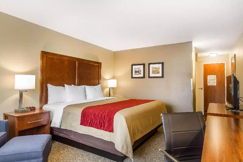 اتاق استاندارد با تخت بزرگ, Comfort Inn & Suites Rocklin Roseville