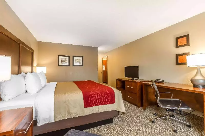 اتاق استاندارد با تخت بزرگ, Comfort Inn & Suites Rocklin Roseville