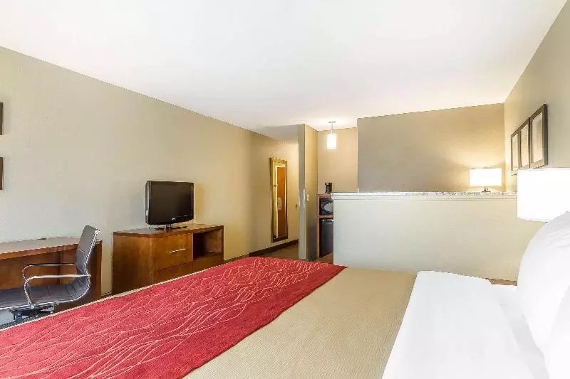اتاق استاندارد با تخت بزرگ, Comfort Inn & Suites Rocklin Roseville