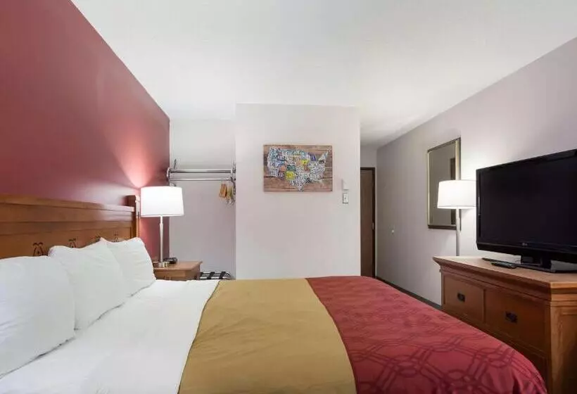 اتاق استاندارد با تخت بزرگ, Econo Lodge Inn & Suites