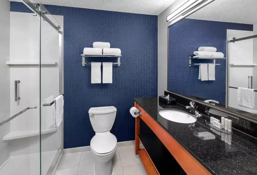 اتاق استاندارد با تخت بزرگ, Fairfield Inn & Suites Denver Airport