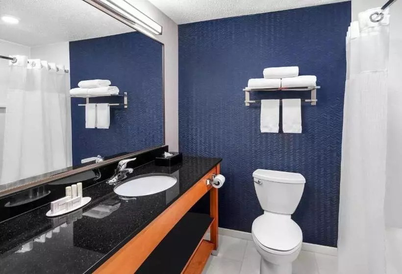 اتاق استاندارد با تخت بزرگ برای معلولان, Fairfield Inn & Suites Denver Airport
