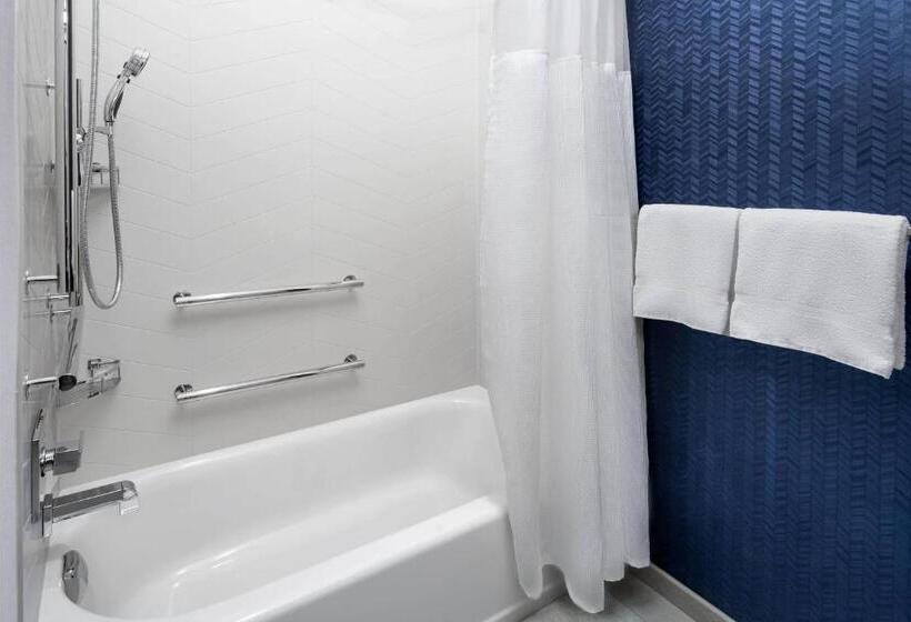 장애인을 위한 킹사이즈 침대 스탠다드 룸, Fairfield Inn & Suites Denver Airport