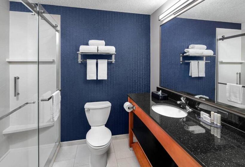 장애인을 위한 킹사이즈 침대 스탠다드 룸, Fairfield Inn & Suites Denver Airport