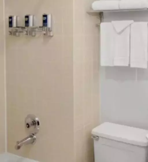 اتاق استاندارد, Radisson Hotel Detroit Metro Airport