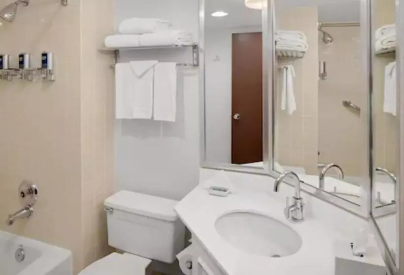 اتاق استاندارد, Radisson Hotel Detroit Metro Airport