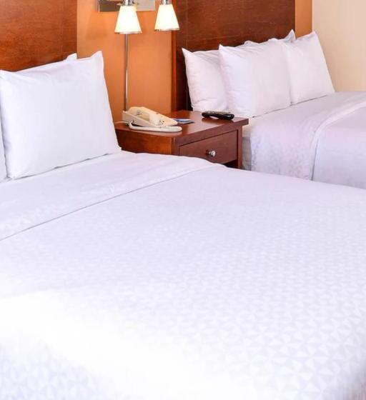 标准间, Radisson Hotel Detroit Metro Airport