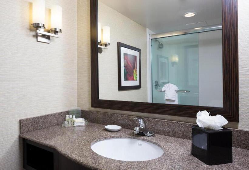 キングサイズベッドのスタンダードルーム, Holiday Inn Wichita East I 35, An Ihg