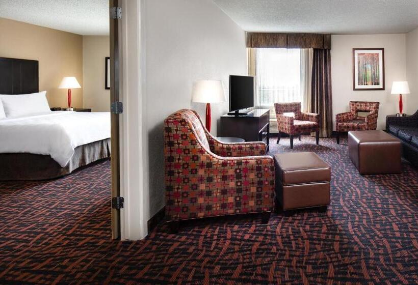 2ベッドスイートルーム, Holiday Inn Wichita East I 35, An Ihg