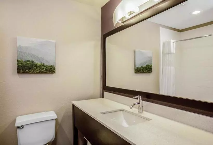 اتاق استاندارد با تخت بزرگ, La Quinta By Wyndham Fayetteville