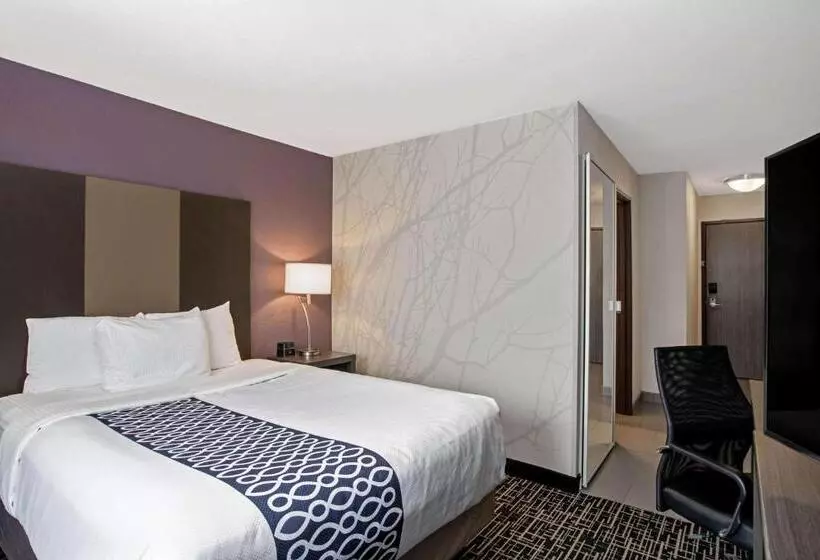 اتاق استاندارد برای معلولان, La Quinta By Wyndham Fayetteville