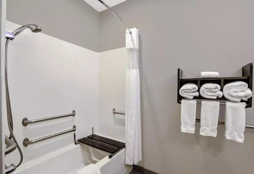 اتاق استاندارد برای معلولان, La Quinta By Wyndham Fayetteville