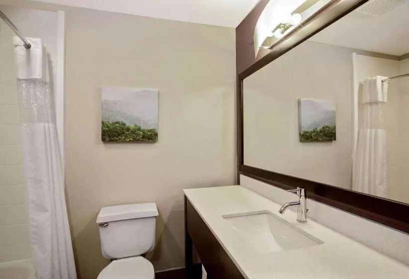 اتاق استاندارد برای معلولان, La Quinta By Wyndham Fayetteville