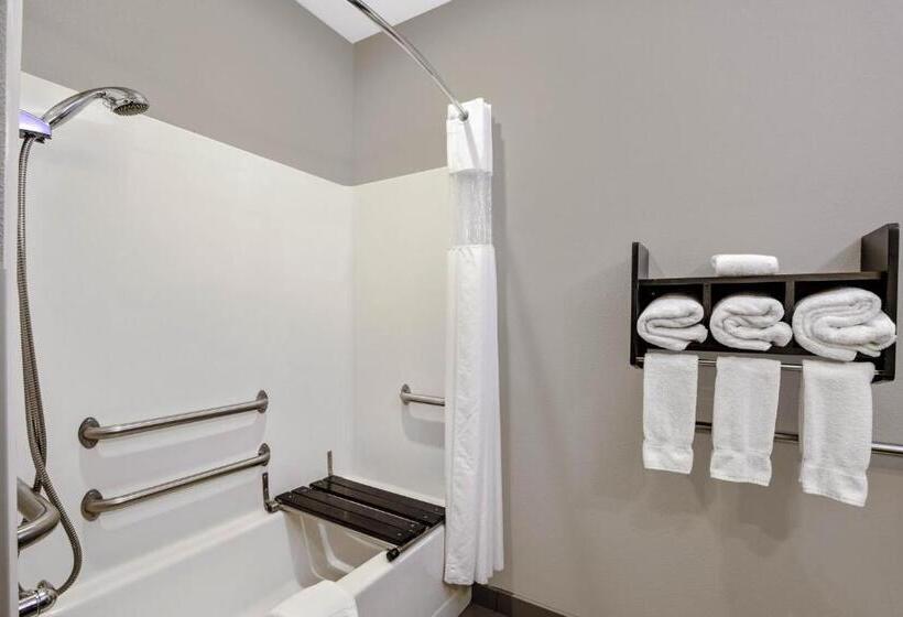 장애인을 위한 킹사이즈 침대 스탠다드 룸, La Quinta By Wyndham Fayetteville