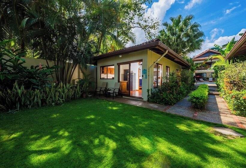 بنجلو قياسى, The Coast Beachfront