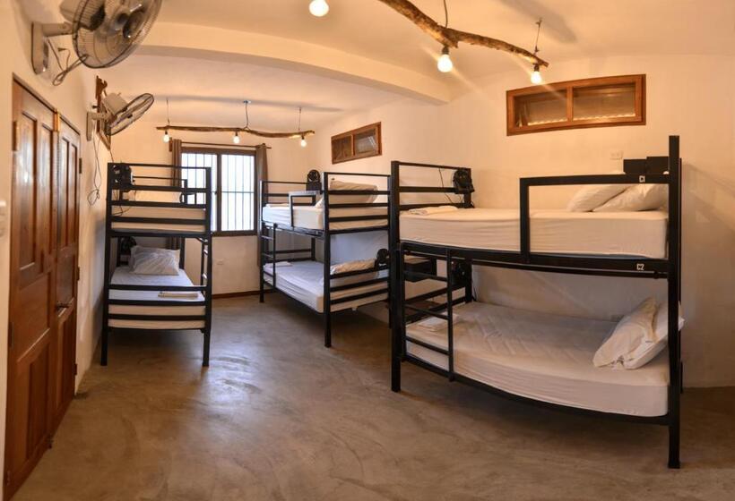 تختخواب در اتاق مشترک, Hostal Don Cenobio