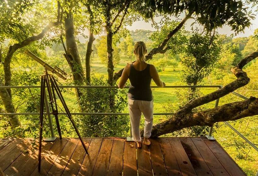 Standard Tent, Ahaspokuna By Eco Team