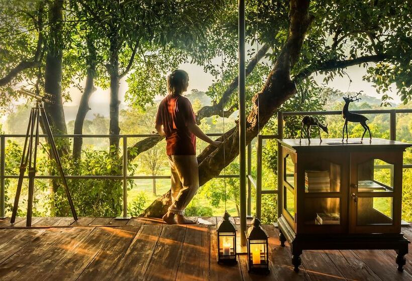 Standard Tent, Ahaspokuna By Eco Team