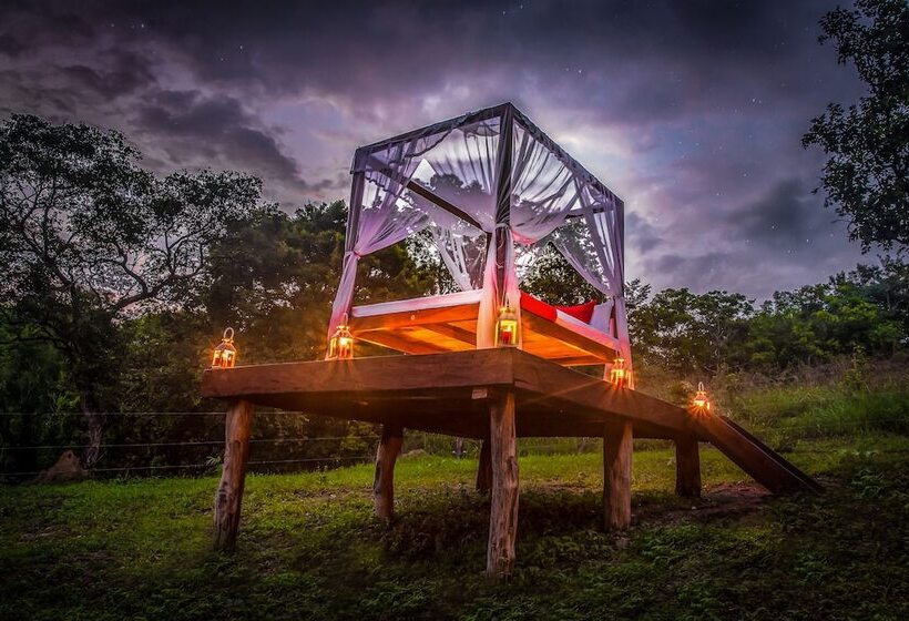 Standard Tent, Ahaspokuna By Eco Team