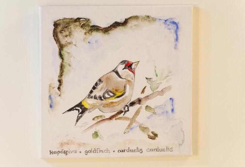 חדר סטנדרט, Nafplion 1841