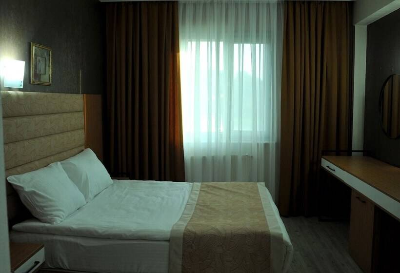 اتاق استاندارد یک نفره, Lion City Hotel Ankara