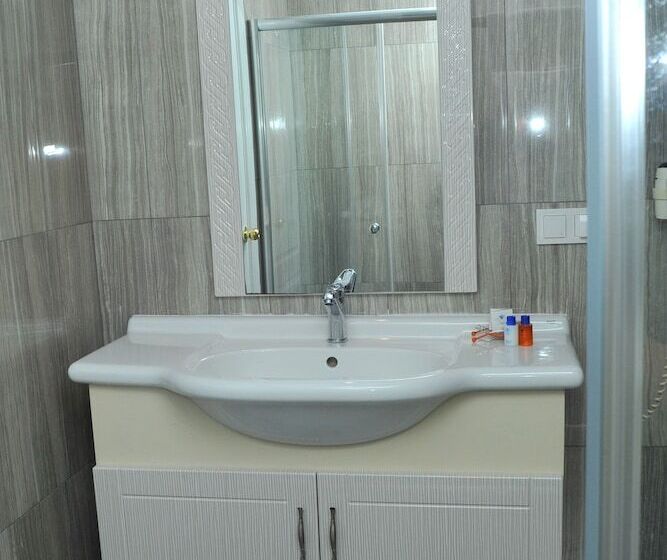 اتاق اکونومی یک تخته, Lion City Hotel Ankara