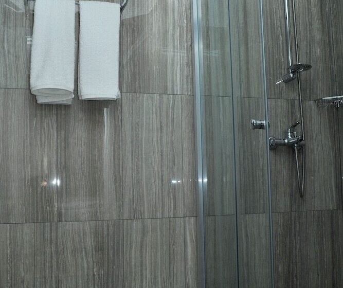 اتاق اکونومی یک تخته, Lion City Hotel Ankara