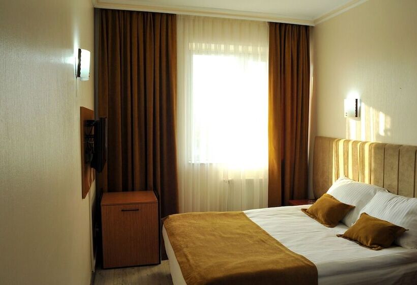 اتاق اکونومی یک تخته, Lion City Hotel Ankara