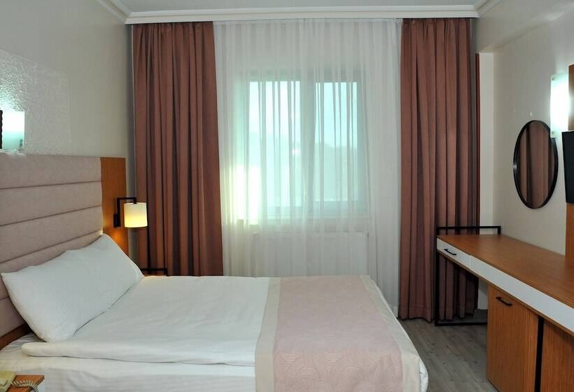 اتاق استاندارد, Lion City Hotel Ankara