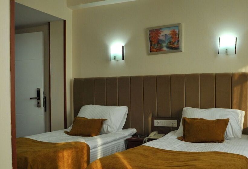 اتاق اکونومی, Lion City Hotel Ankara
