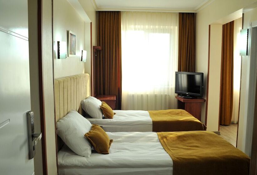 اتاق اکونومی, Lion City Hotel Ankara