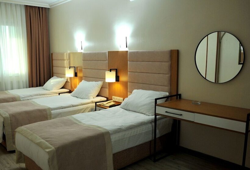 اتاق استاندارد سه نفره, Lion City Hotel Ankara