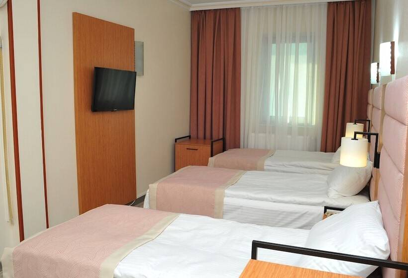اتاق استاندارد سه نفره, Lion City Hotel Ankara