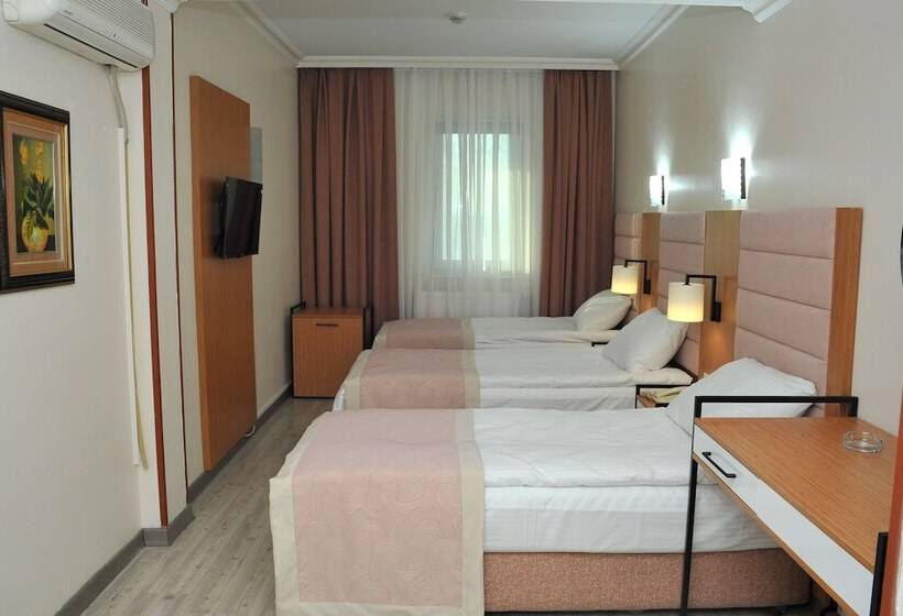 اتاق استاندارد سه نفره, Lion City Hotel Ankara